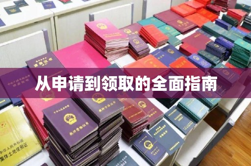 招远从申请到领取的全面指南