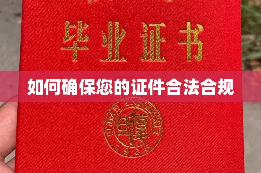 招远如何确保您的证件合法合规