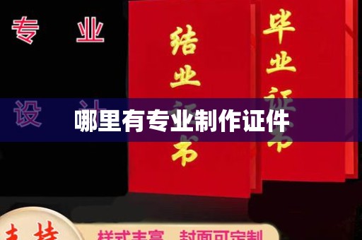 招远哪里有专业制作证件